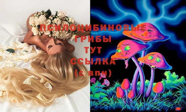 винт Инсар