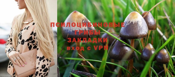 гидропоника Инта