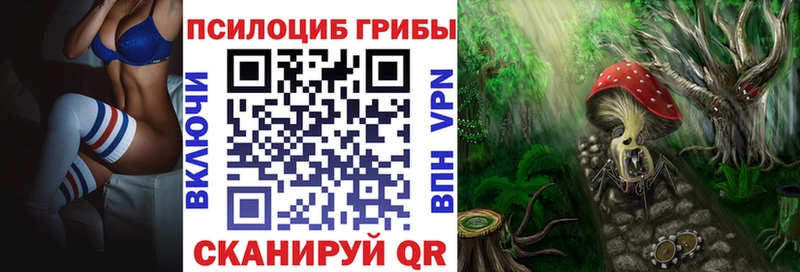 Купить закладки  Балахна  Галлюциногенные грибы Cubensis 